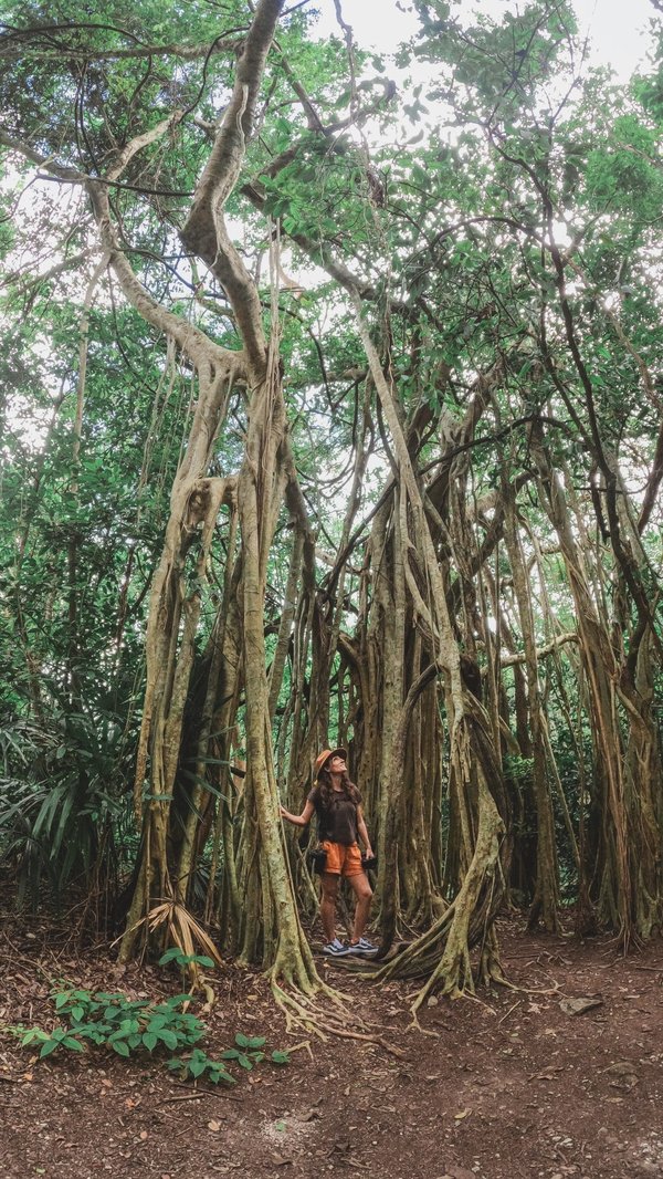 Pourquoi faut-il opter pour les sacs de frappes dripex ?