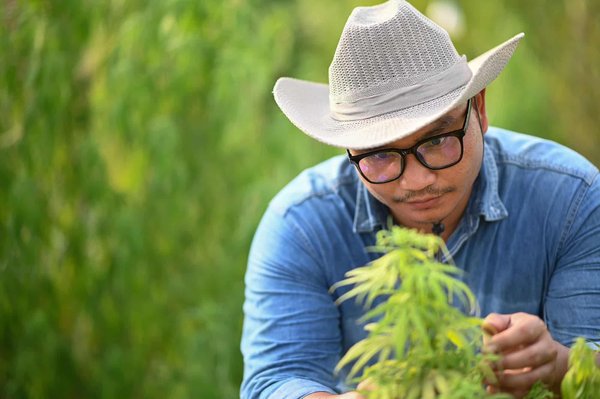 Comment planter des fleurs sauvages ?