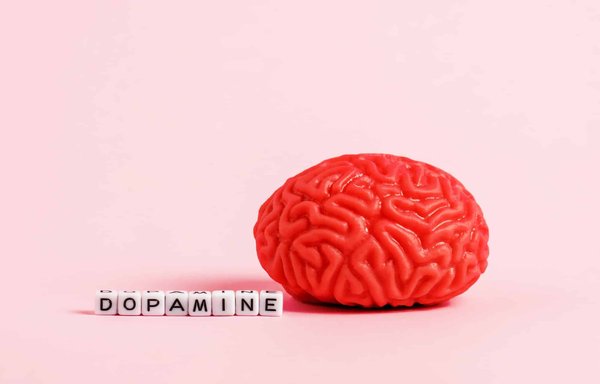 Pourquoi la dopamine apport